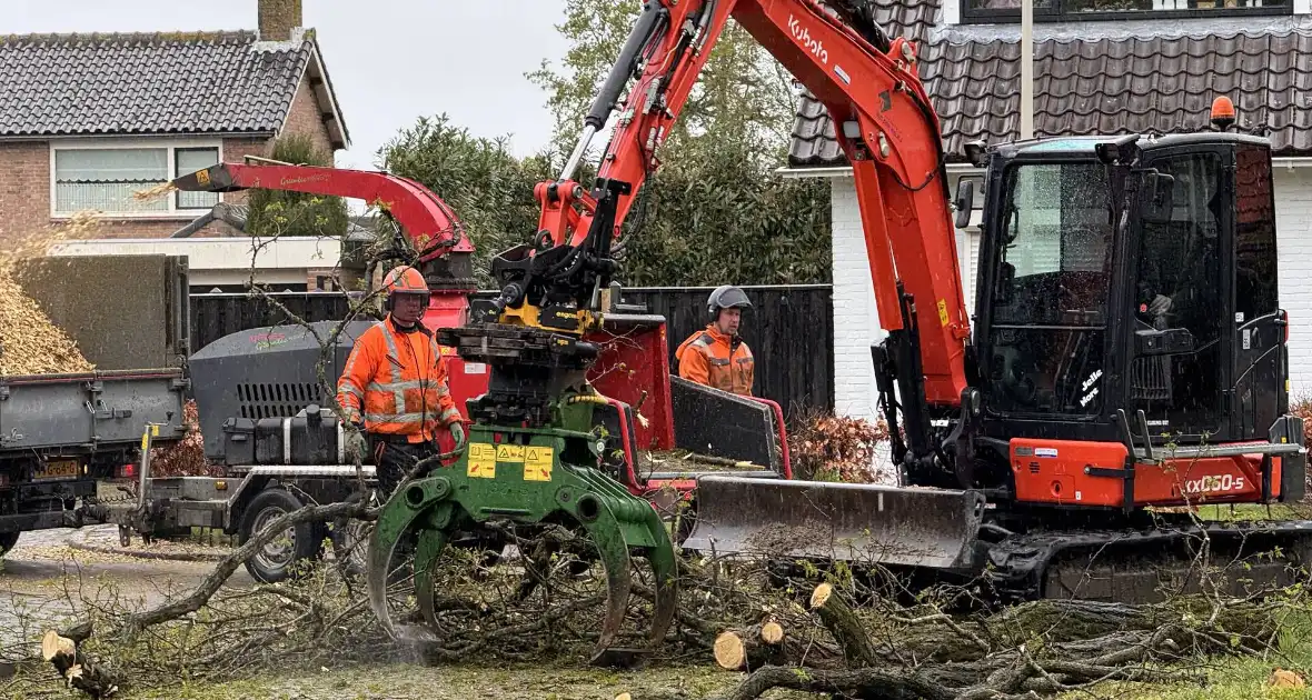 Boom breekt af na rukwinden - Foto 2