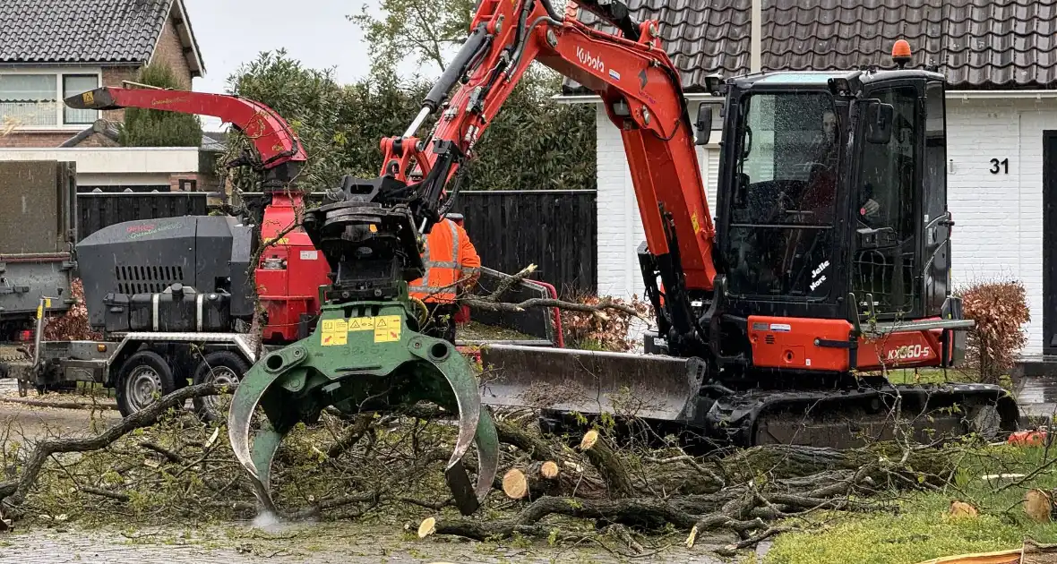 Boom breekt af na rukwinden - Foto 3