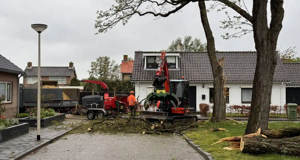 Boom breekt af na rukwinden - Foto 4