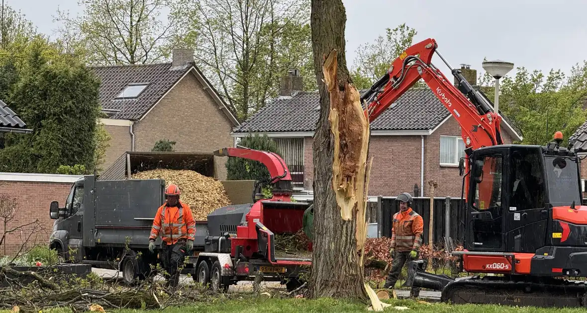 Boom breekt af na rukwinden - Foto 7