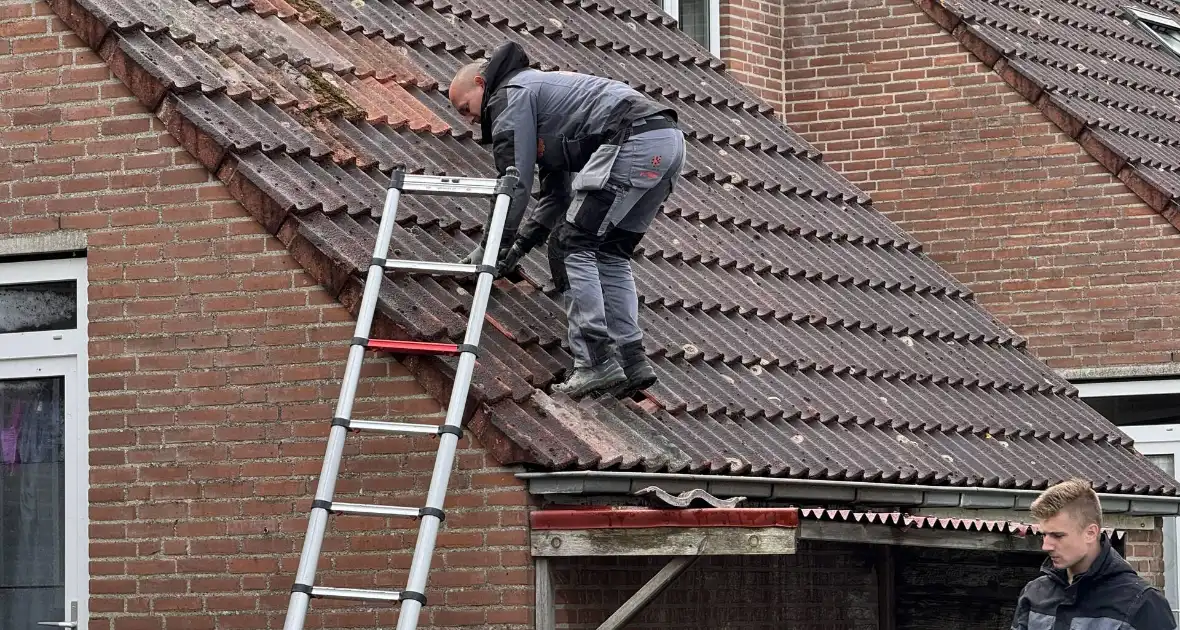 Meerdere dakpannen gesneuveld na harde wind - Foto 12