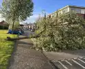 Omgewaaide boom belandt op weg