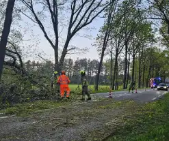 Boom valt om en belandt op provinciale weg