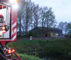 Jongvee gered tijdens trekkerbrand in kapschuur