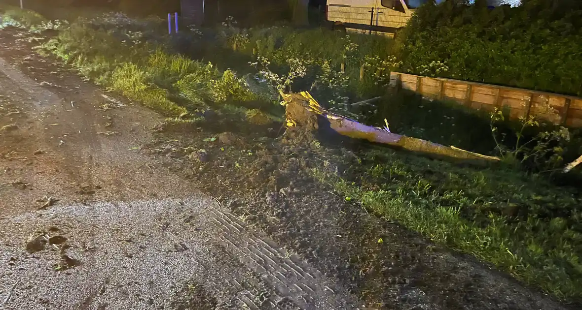Vrachtwagen ramt boom en belandt op zijkant in sloot - Foto 2