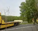 Auto verliest controle over stuur en knalt tegen boom
