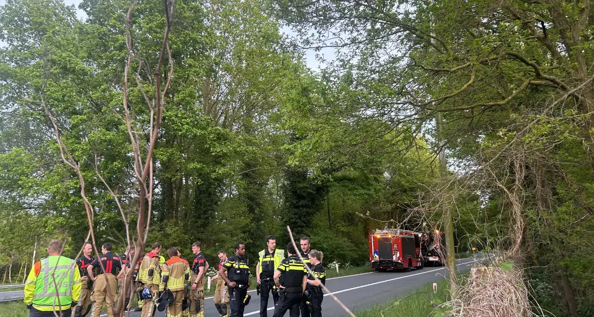 Auto verliest controle over stuur en knalt tegen boom - Foto 1
