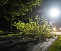 Weg geblokkeerd na omvallen boom