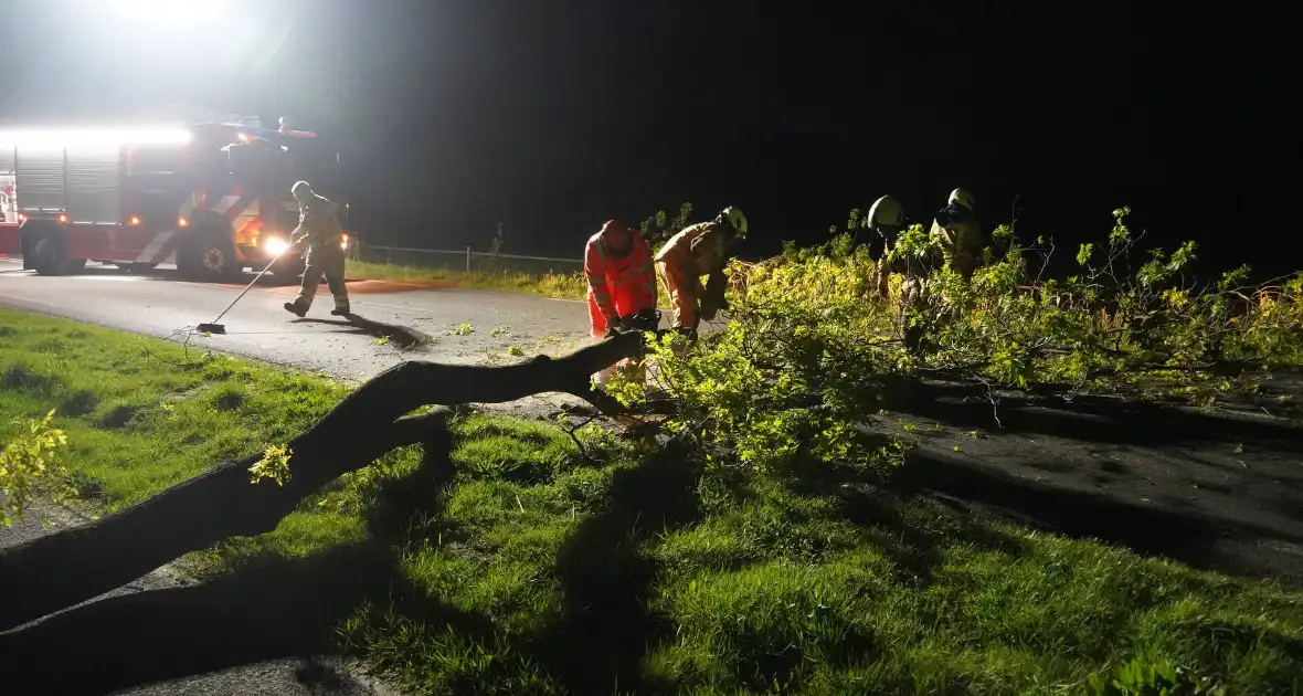 Weg geblokkeerd na omvallen boom - Foto 3