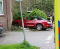 Automobilist raakt van de weg knalt tegen apartment