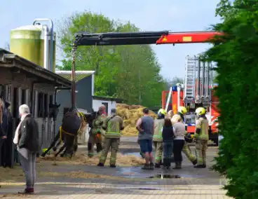 Brandweer ingezet nadat paard niet meer zelfstandig opstaat