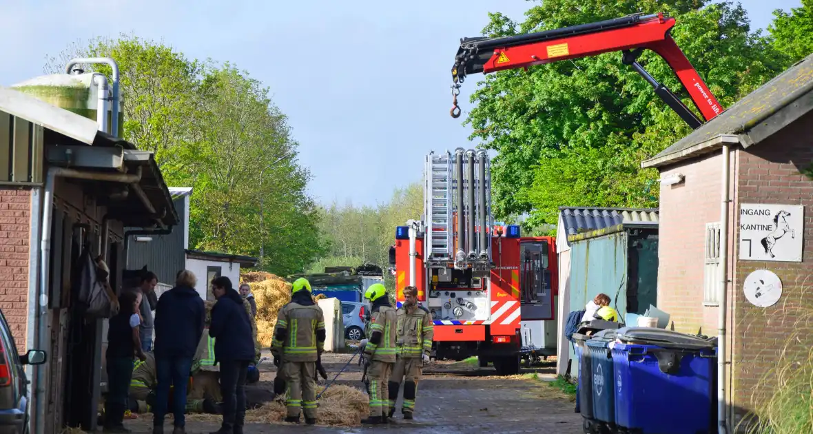 Brandweer ingezet nadat paard niet meer zelfstandig opstaat - Foto 1