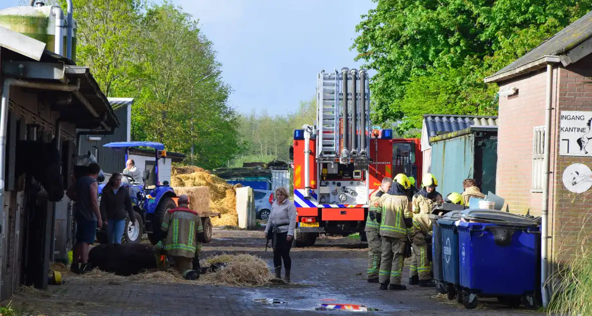 Brandweer ingezet nadat paard niet meer zelfstandig opstaat - Foto 2