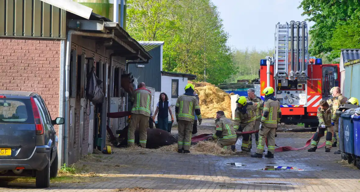 Brandweer ingezet nadat paard niet meer zelfstandig opstaat - Foto 3