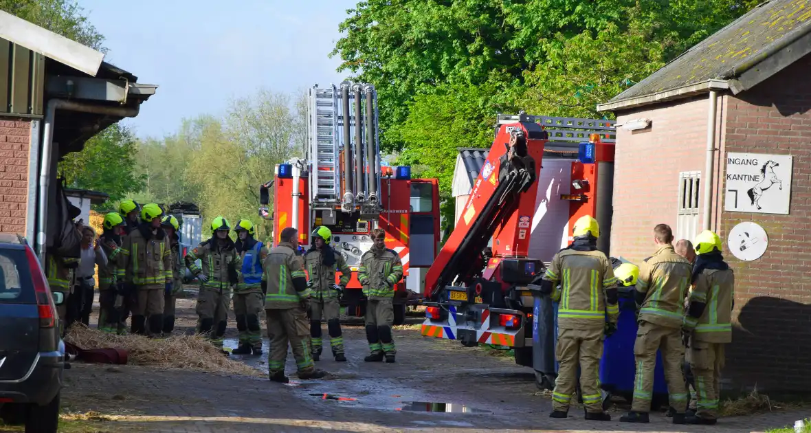 Brandweer ingezet nadat paard niet meer zelfstandig opstaat - Foto 4