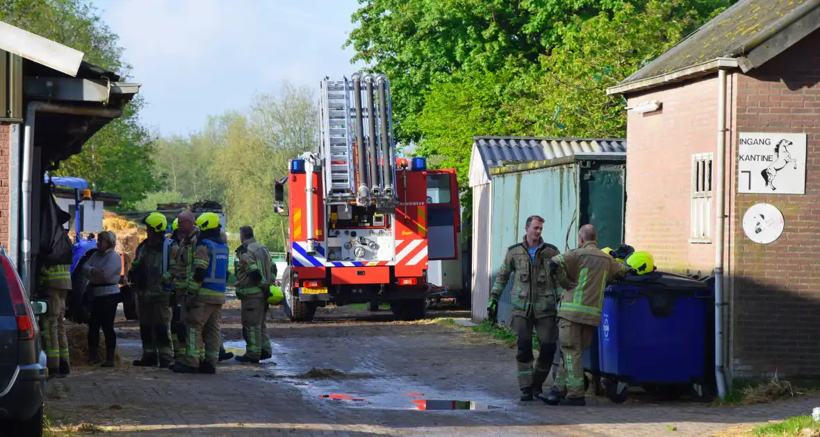 Brandweer ingezet nadat paard niet meer zelfstandig opstaat - Foto 7