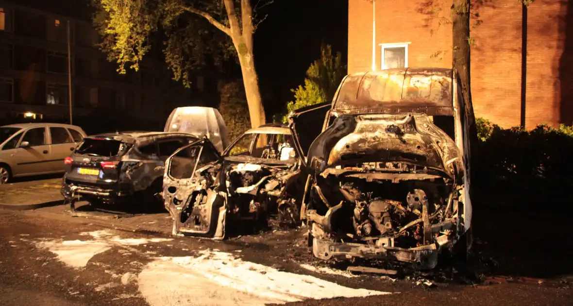Meerdere voertuigen verwoest door brand - Foto 7