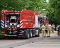 Flinke brand in coniferenhaag