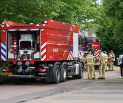 Flinke brand in coniferenhaag