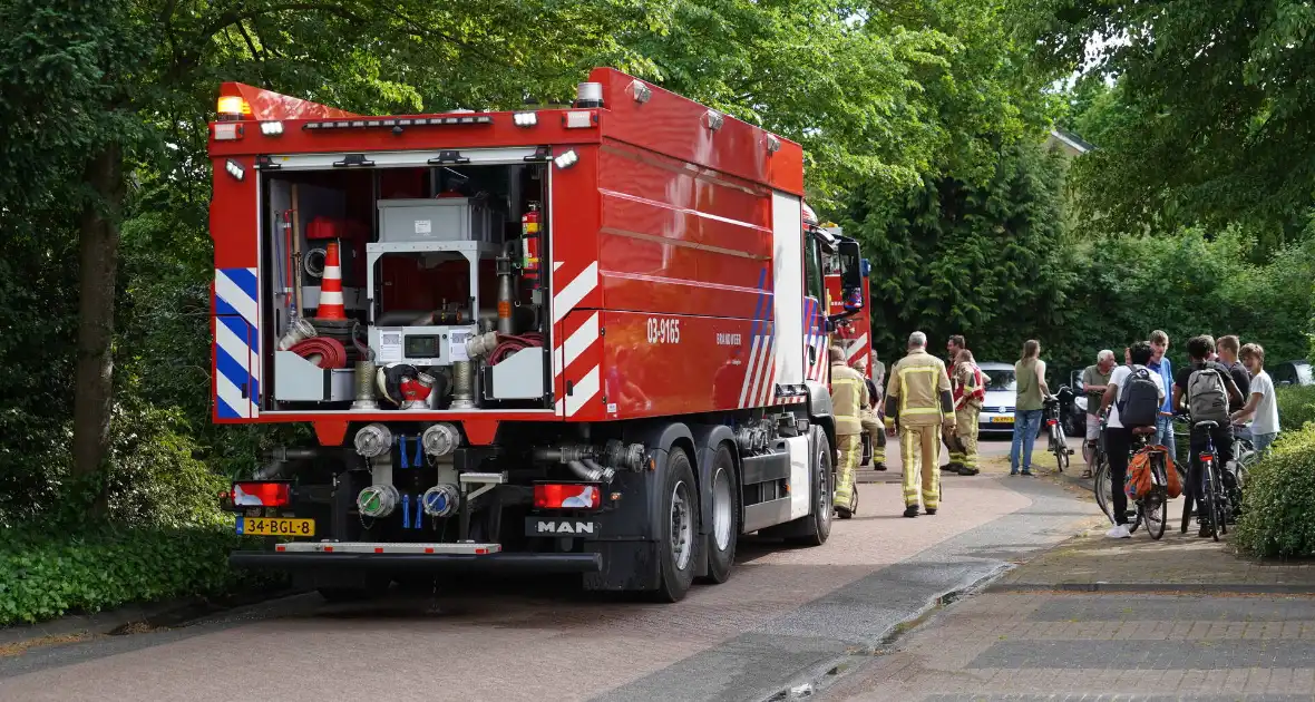 Flinke brand in coniferenhaag - Foto 3