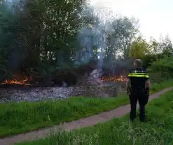 Tientallen vierkante meters natuurgebied verwoest door Brand