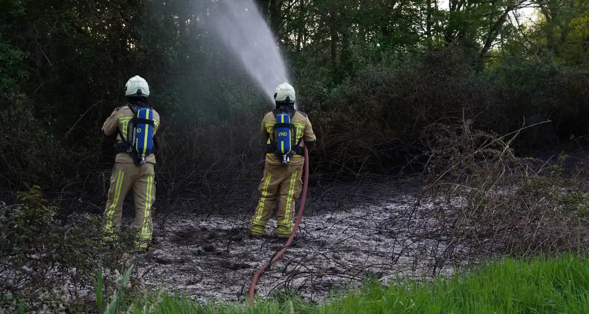 Tientallen vierkante meters natuurgebied verwoest door Brand - Foto 3