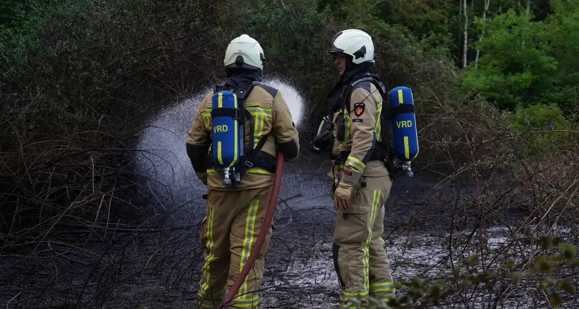 Tientallen vierkante meters natuurgebied verwoest door Brand - Foto 5