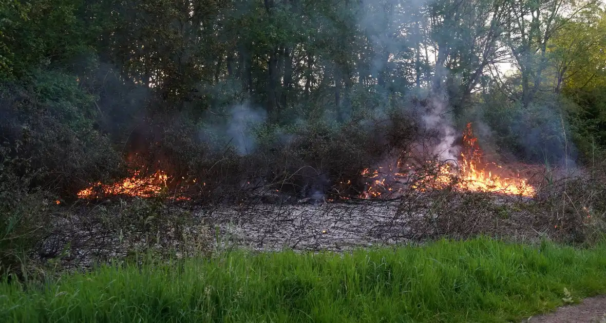 Tientallen vierkante meters natuurgebied verwoest door Brand - Foto 6