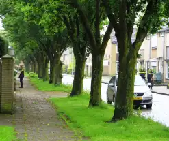 Politie zoekt naar inbrekers