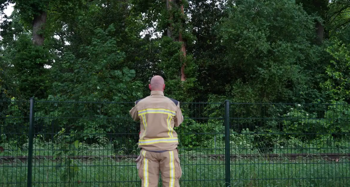 Geen treinen vanwege takken op spoor - Foto 1