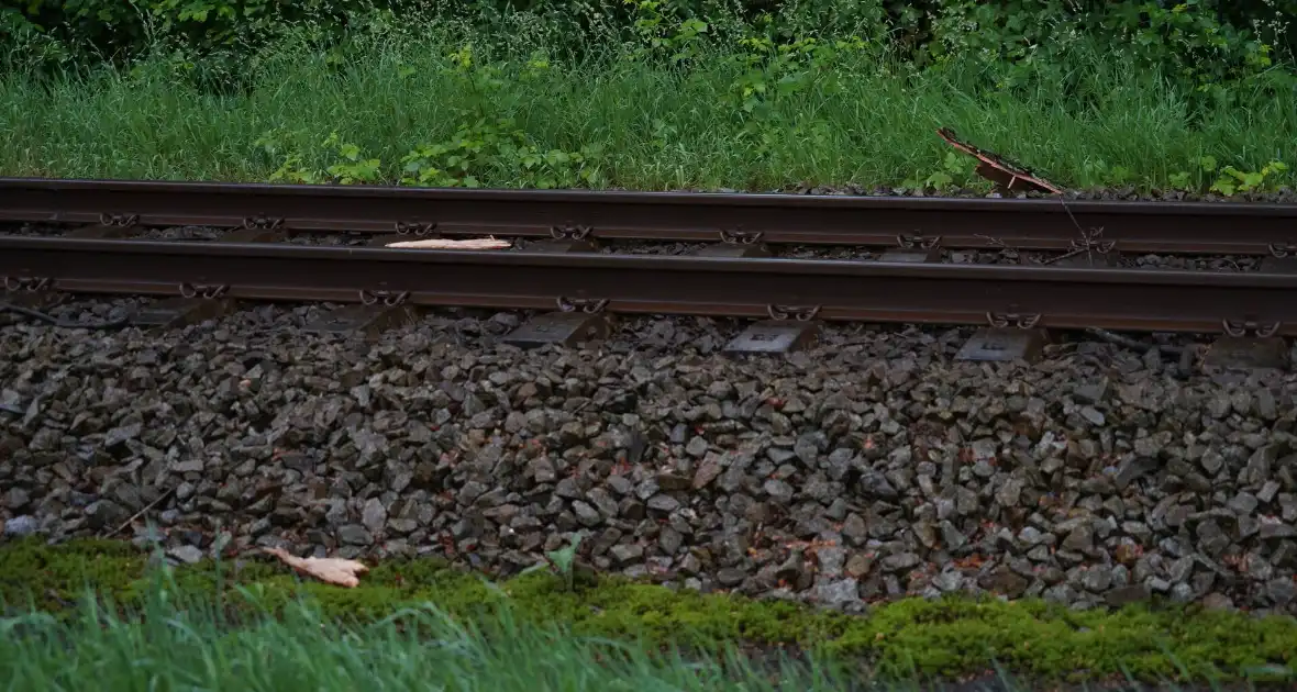 Geen treinen vanwege takken op spoor - Foto 2