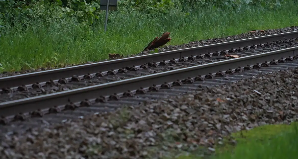 Geen treinen vanwege takken op spoor - Foto 3