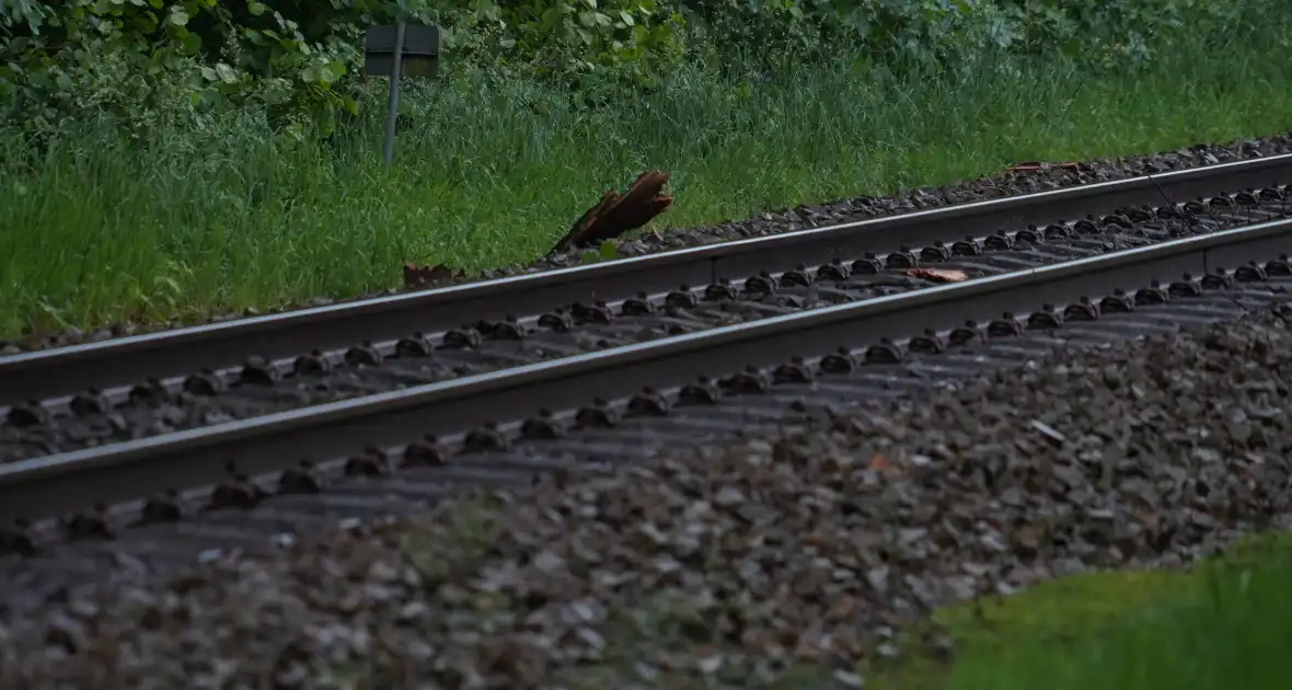 Geen treinen vanwege takken op spoor - Foto 4