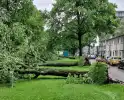 Bomen vallen om door hevige onweersbui