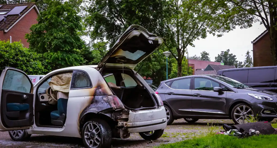 Forensische opsporing Doet onderzoek naar autobrand - Foto 3