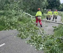 Voetganger door het oog van de naald na omvallen boom