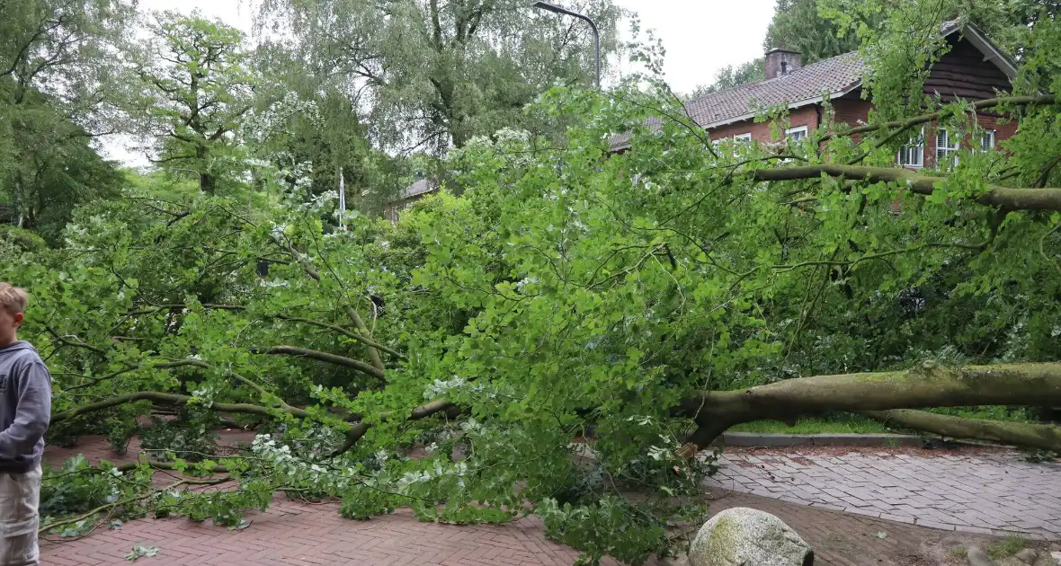 Flinke schade na omvallen boom park Daalhuizen - Foto 1