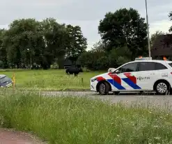 Automobilist mist bocht en raakt van de weg