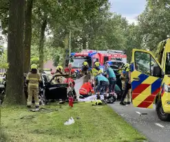 Bestuurder op slag dood na crash tegen boom