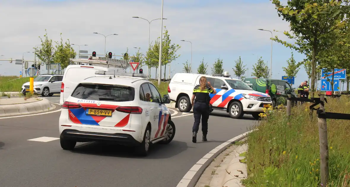 Vogel vliegt tegen voorruit bestelbus - Foto 2