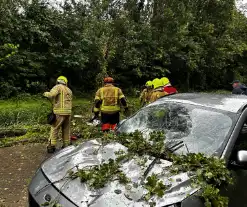 Auto fiks beschadigd door omgevallen boom