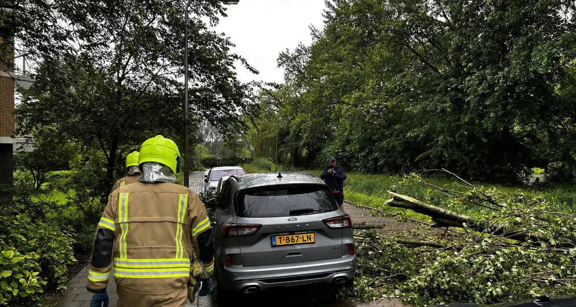 Auto fiks beschadigd door omgevallen boom - Foto 1