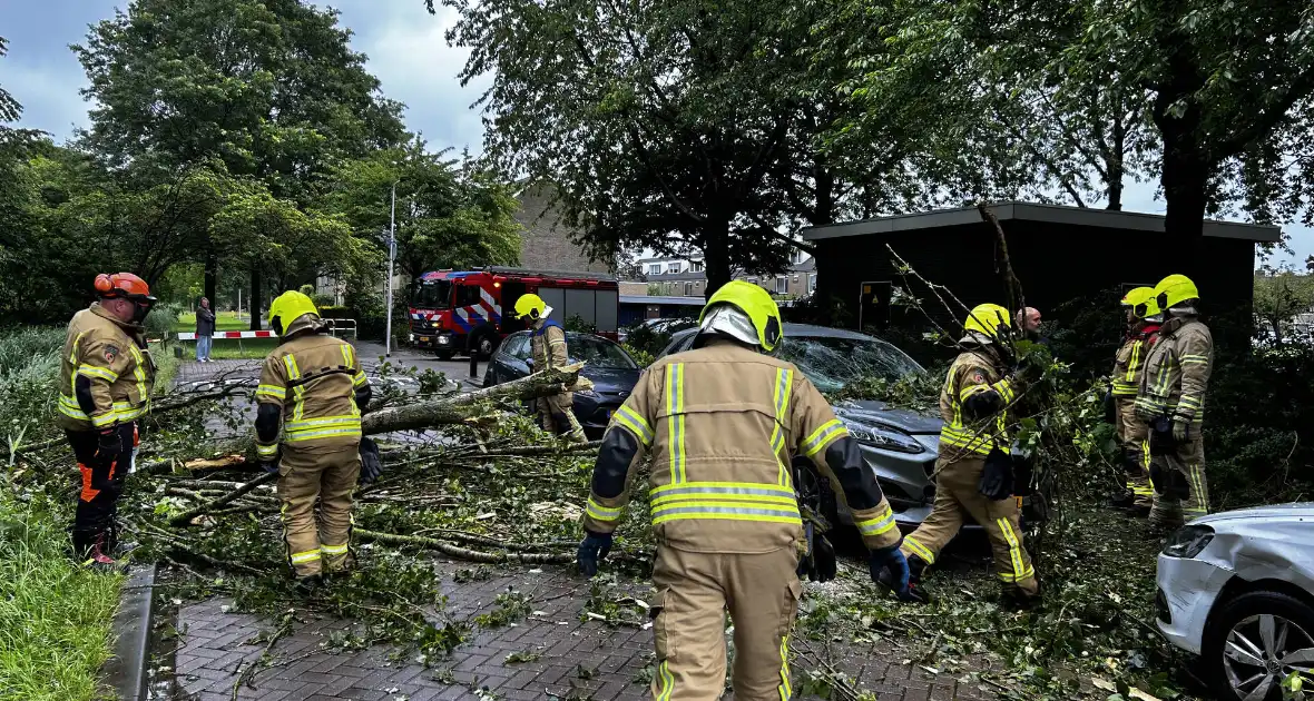 Auto fiks beschadigd door omgevallen boom - Foto 6