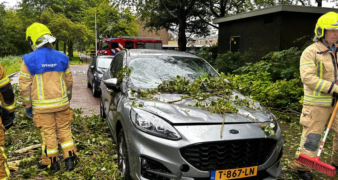 Auto fiks beschadigd door omgevallen boom - Foto 7