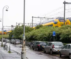 Treinverkeer plat door omgewaaide boom op bovenleiding