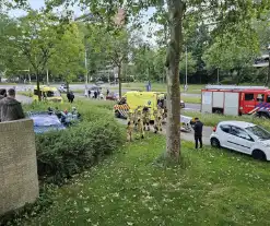 Chaos bij eenzijdig ongeval, bestuurder rijdt meerdere palen uit de grond