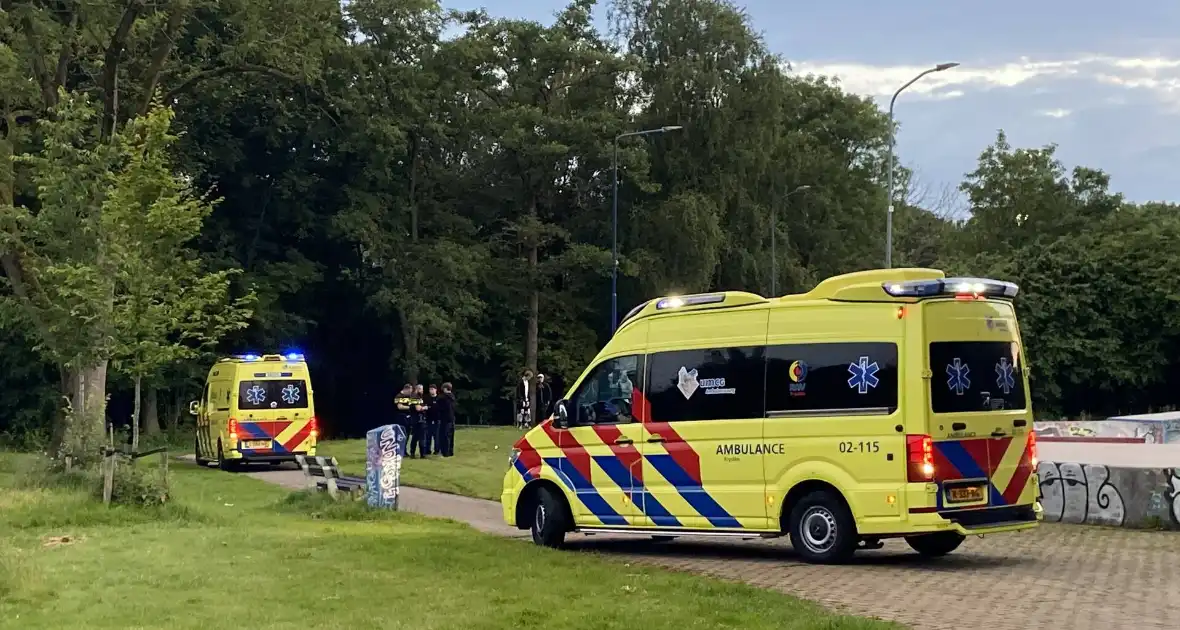 Zware mishandeling in skatepark - Foto 3