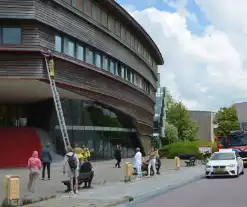 Brandweer haalt dode kraai van schoolgebouw