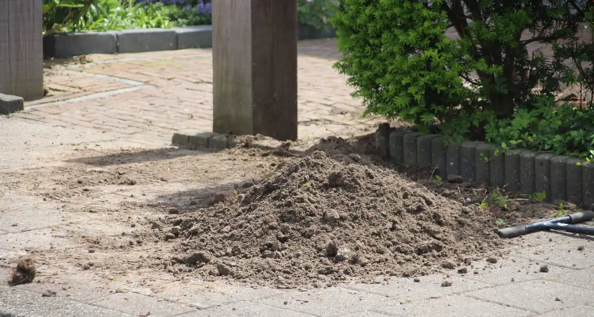 Hard sissend geluid bij werkzaamheden voortuin - Foto 3