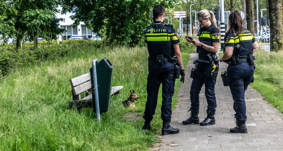 Hond achtergelaten na geweldsincident